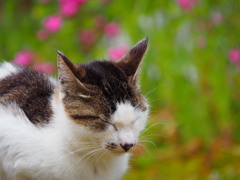 午後のひととき