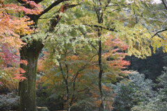 みやま市清水寺