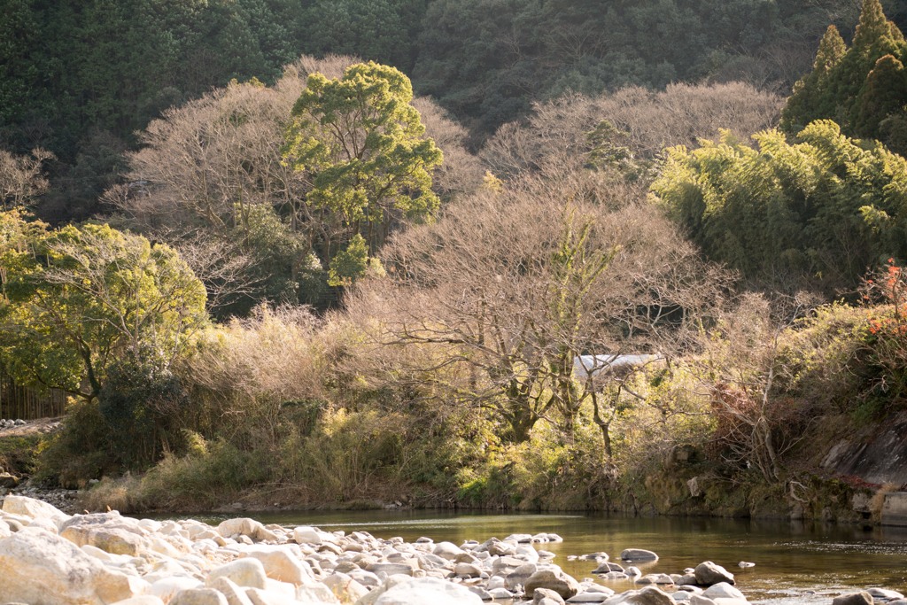 冬の川の景色
