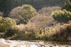 冬の川の景色