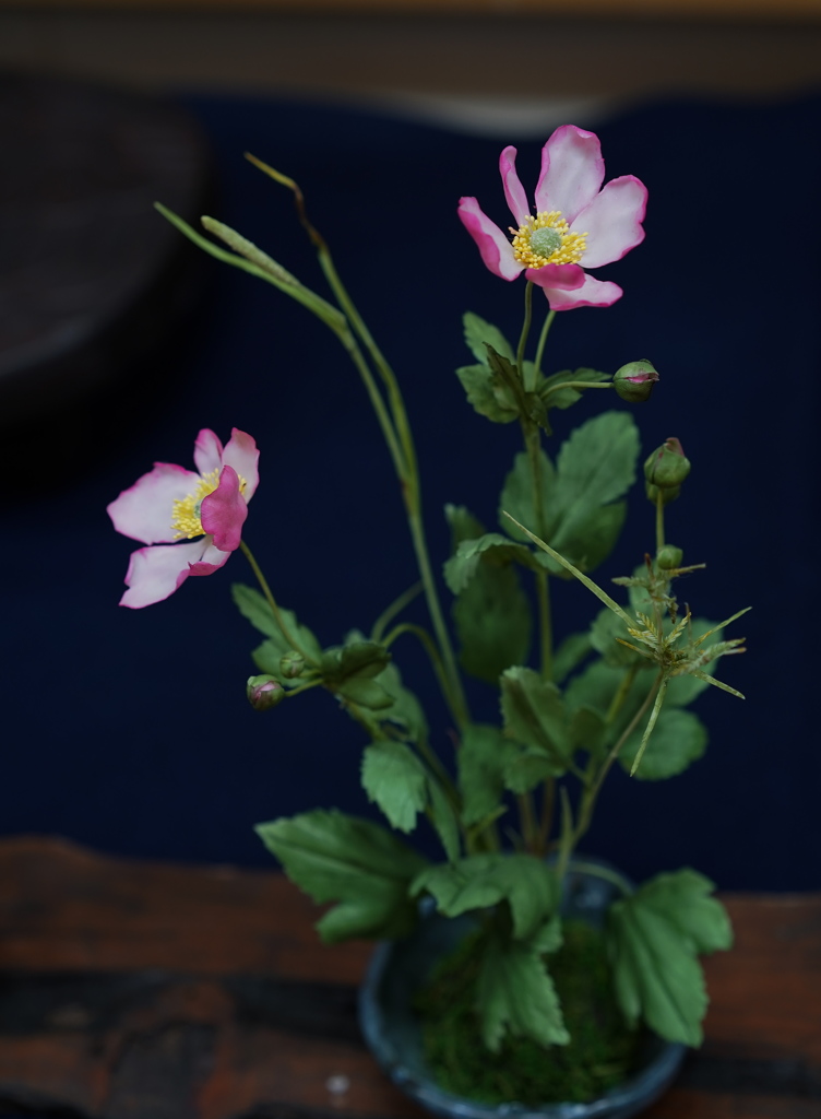 花遊び展 ’１８＿１６