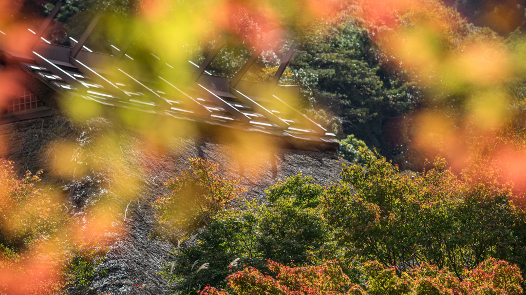 紅葉の頃＿１７