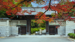 秋模様 防府毛利氏庭園＿１