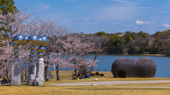 桜・ときわ公園１１