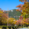 山口市内 秋の彩り＿１６