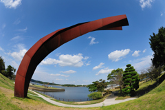 魚眼の眼・ときわ公園４