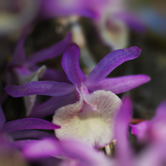 ラン展 in 下関・９