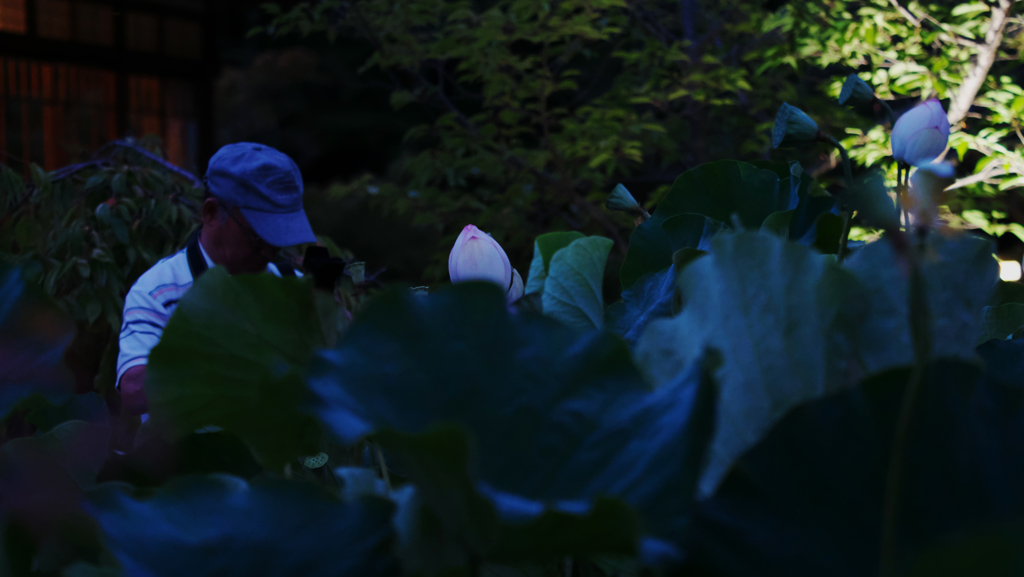孫文蓮＿３０−２