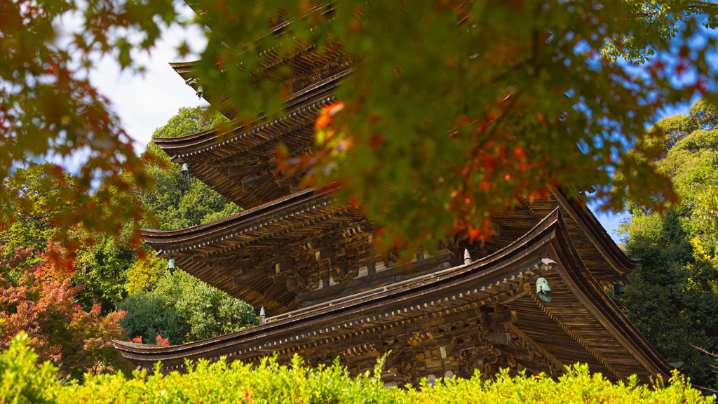 香山園 秋の彩り’２２＿３