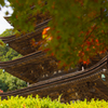 香山園 秋の彩り’２２＿３