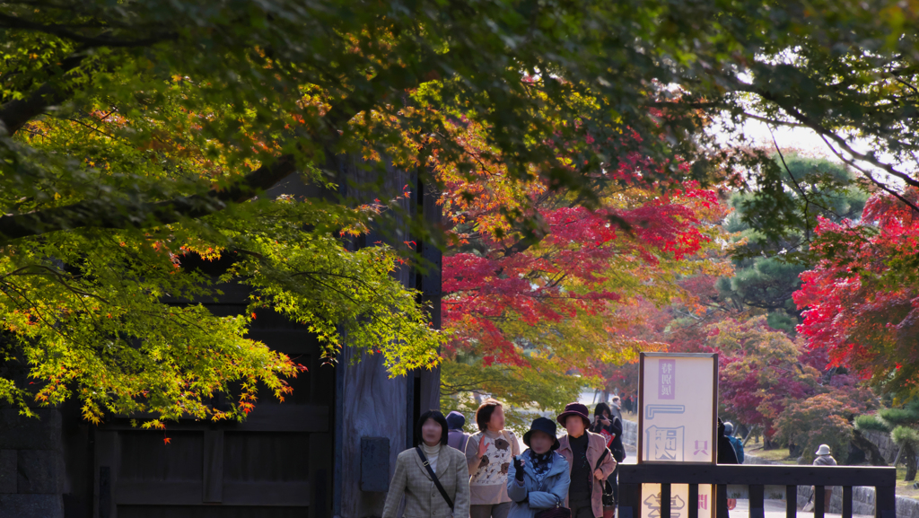 紅葉探索・１０