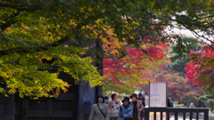 紅葉探索・１０