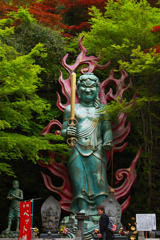 春紅葉・１