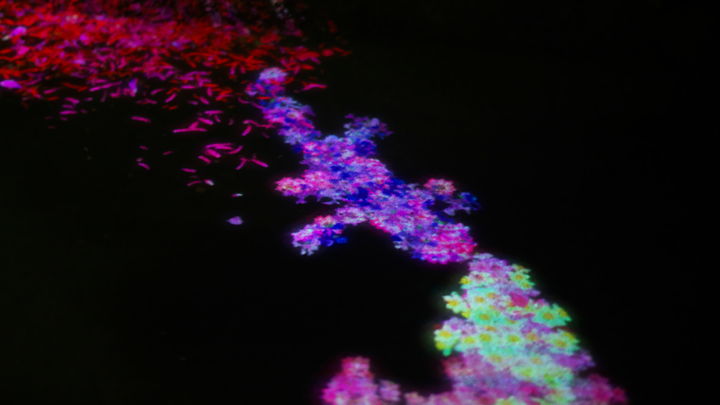 teamlab★デジタルアート＿８