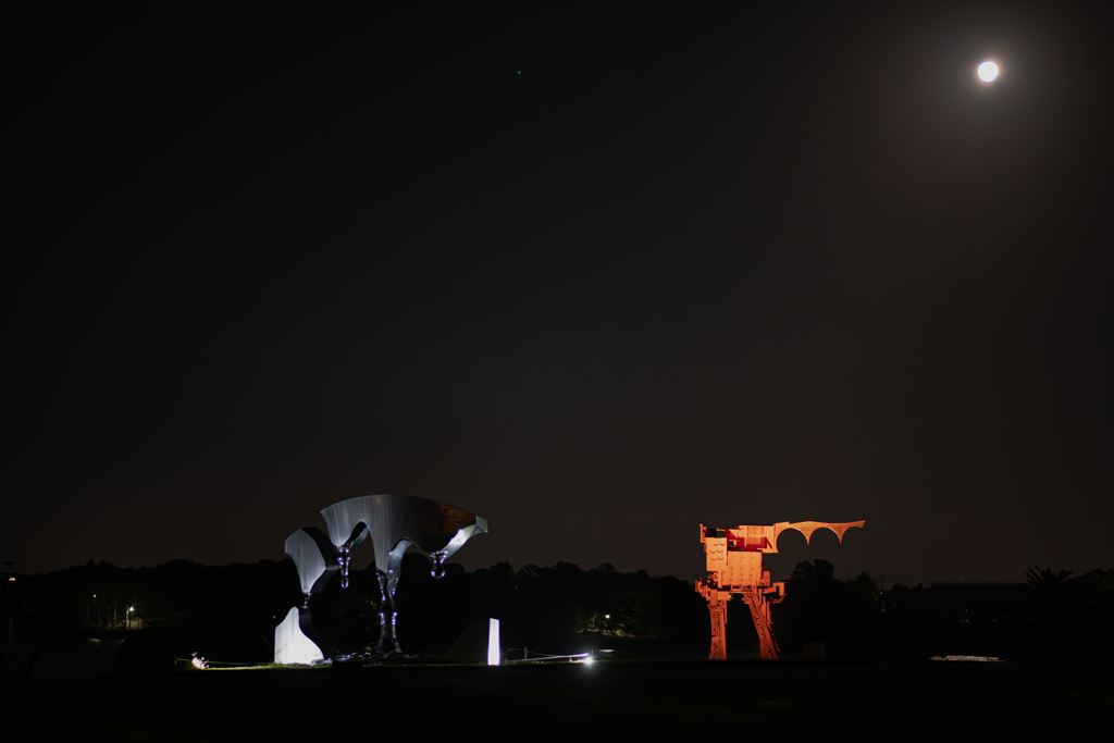 夜景１＿ノイズ  除去処理