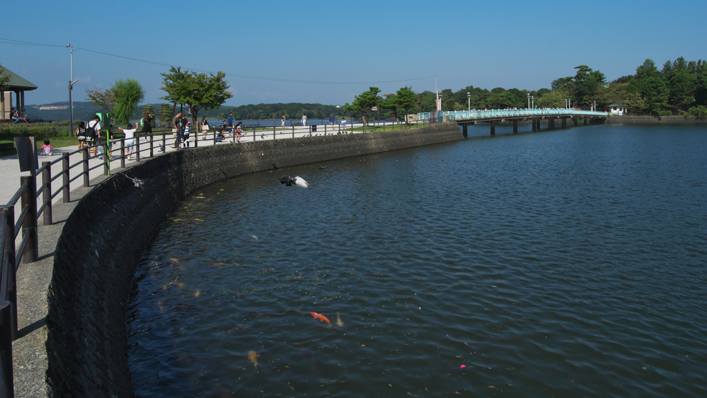 ときわ公園・７