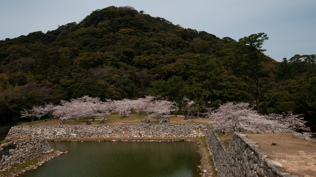 桜・萩城跡５＿１