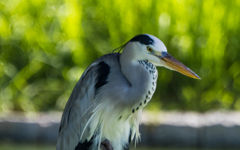 試写２(オリンパス 100-400mm F5.0-6.3 IS)