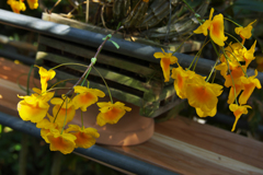 ラン展 in 下関・１８