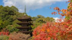 香山園 秋の彩り’２２＿５