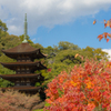 香山園 秋の彩り’２２＿５