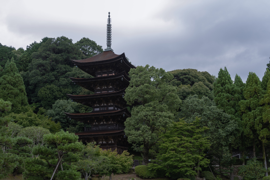 試写５・NIKKOR Z 12-200mm f/4-6.3 VR