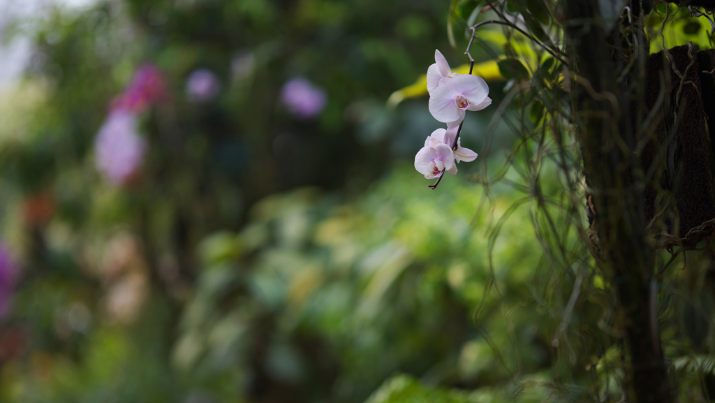 ラン・３１＿１１