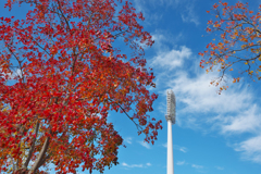 秋・維新公園３０＿１３