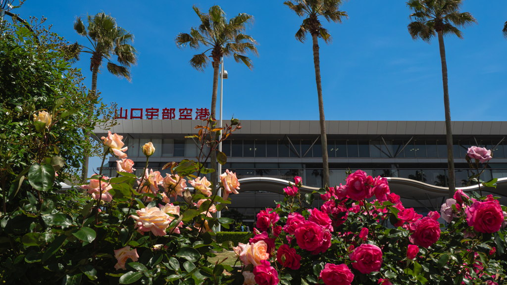 山口宇部空港のバラ・１