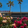 山口宇部空港のバラ・１