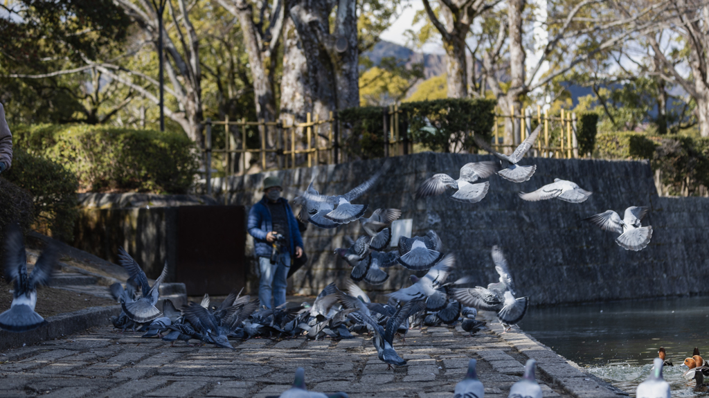 鳩・４＿３