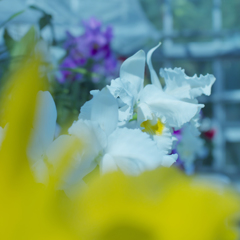 ラン展 in 下関・８