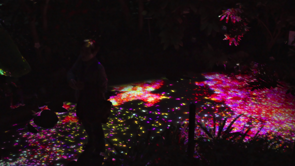 teamlab★デジタルアート＿１３