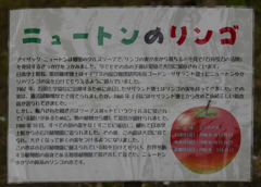 ニュートンのリンゴ