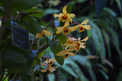 ラン・３１＿１