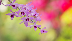 ラン・３１＿１５