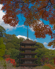 香山園 秋の彩り’２２＿２