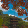 香山園 秋の彩り’２２＿２