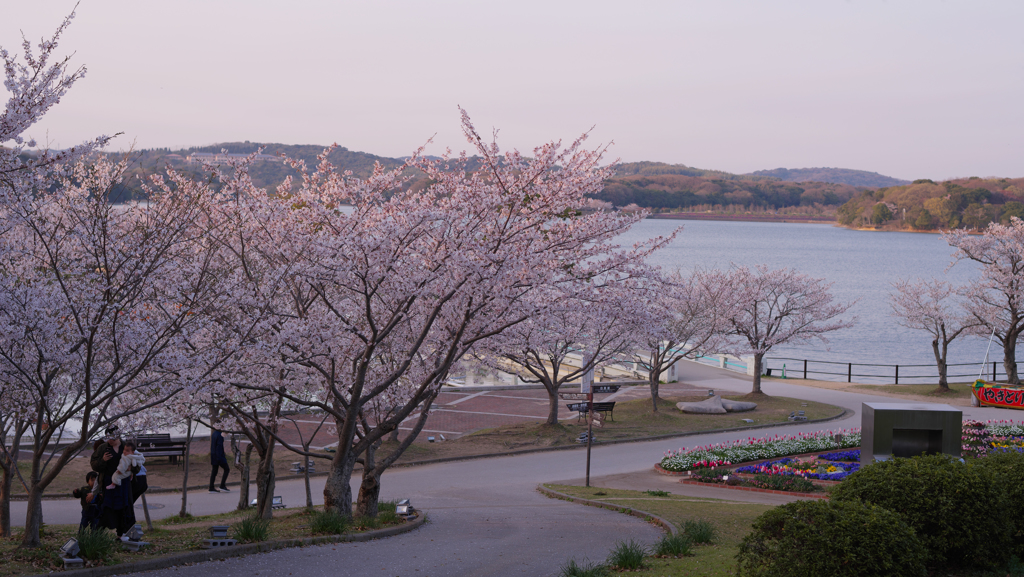 春・ときわ公園・３１＿８