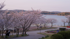 春・ときわ公園・３１＿８