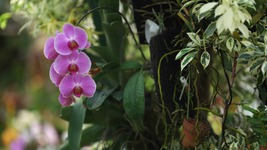 ラン・３１＿１９