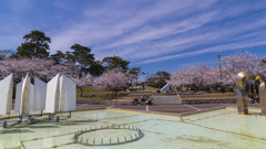 桜・ときわ公園１０