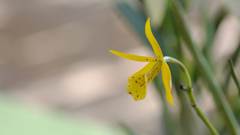 秋のラン ’１８＿６