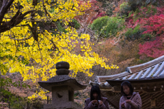 秋彩＠龍蔵寺・１３