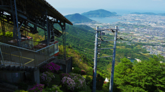 大平山 山頂公園のツツジ＿１９・２５