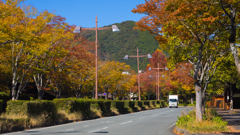 山口市内 秋の彩り＿１７