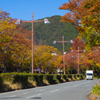 山口市内 秋の彩り＿１７