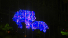 teamlab★デジタルアート＿２５