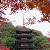 香山園 秋の彩り’２２＿５