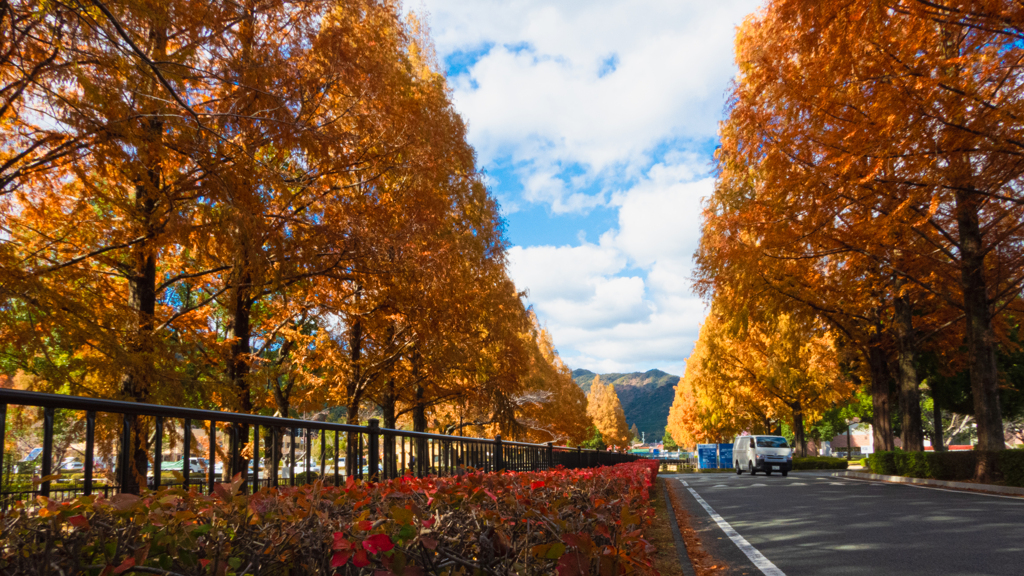 紅葉の頃＿１８